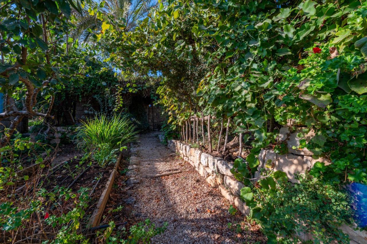 Hemdatya Stone Suites In The Galilee Ilaniya Luaran gambar